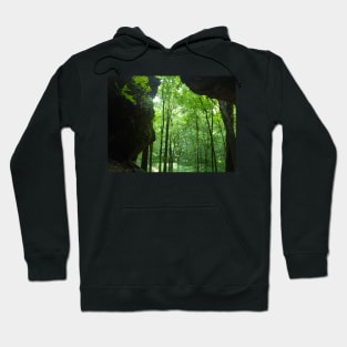 The world beyond the cave. Hoodie